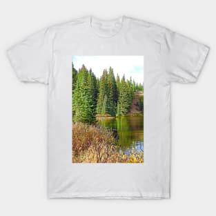 Lake Irene in Autumn Study 13-3 T-Shirt